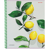 Тетрадь 48л. А5 гребень клетка мелованная обложка Фруктовая экстетика-1, 48-8717 Тетрадь 48л. А5 гребень клетка мелованная обложка Фруктовая экстетика-1, 48-8717