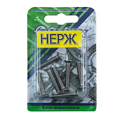 Винт нерж.пот. DIN 965  М 6х16 (7шт)