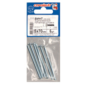 Винт пот. DIN 965 М5x70 ( 6 шт) Винт пот. DIN 965 М5x70 ( 6 шт)