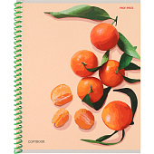 Тетрадь 48л. А5 гребень клетка мелованная обложка Фруктовая экстетика-1, 48-8717 Тетрадь 48л. А5 гребень клетка мелованная обложка Фруктовая экстетика-1, 48-8717