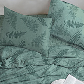  Комплект постельного белья Mariya DeLuxe (200х220,240х220,50х70(2) Евро 1194-1П 