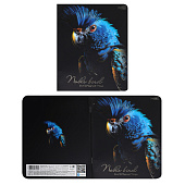 Тетрадь 48л. А5 Благородные птицы, клетка, скрепка, скругленные углы, 48Т5лофВ1 Тетрадь 48л. А5 Благородные птицы, клетка, скрепка, скругленные углы, 48Т5лофВ1