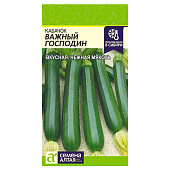 Кабачок Важный Господин СА Кабачок Важный Господин СА