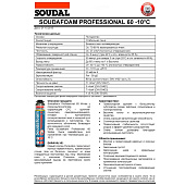  Пена монтажная профессиональная 60 750мл/SOUDAL 
