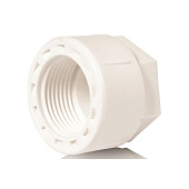 Заглушка резьбовая 3/4" ВР PPR Заглушка резьбовая 3/4" ВР PPR