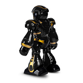 Робот Smart Baby Рома, 25х10х26 см, интерактивный, JB0211579 Робот Smart Baby Рома, 25х10х26 см, интерактивный, JB0211579