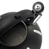 Чайник со свистком стальной 2 л 100303 Чайник со свистком стальной 2 л 100303