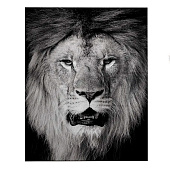 Картина стекло AG 40-62 Картина стекло AG 40-62