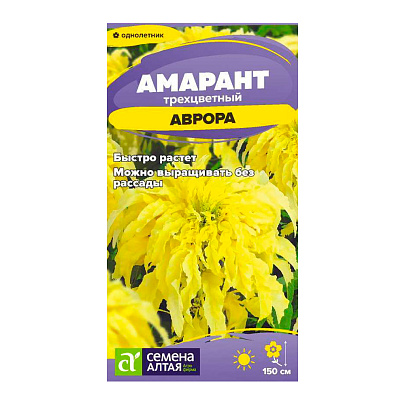  Цветы Амарант Аврора трехцветный СА 