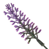 Цветок искусственный "Лаванда", L17 W5 H55 см, 3в. Цветок искусственный "Лаванда", L17 W5 H55 см, 3в.