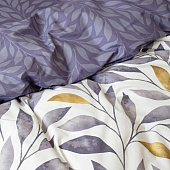 Комплект постельного белья 1,5 спальный Cleo Home Pure Cotton поплин 15/012-PCE Комплект постельного белья 1,5 спальный Cleo Home Pure Cotton поплин 15/012-PCE