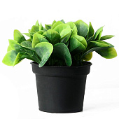 Искусственный цветок в горшке Хавортия ладьевидная 7х10 см 9750536 Искусственный цветок в горшке Хавортия ладьевидная 7х10 см 9750536