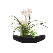  Орхидея в черной ладье, Д280 Ш70 В335, белый 