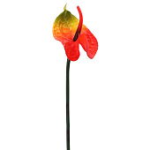  Цветок искусственный Антуриум, h-60 см, микс, 10922-9565, 271637 