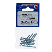  Винт оцинк.пот. DIN 965  М 4х40 (9шт) 