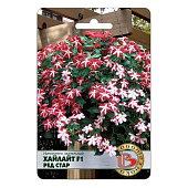 Импатиенс F1 ампельный Хайлайт Рэд Стар Биотехника Импатиенс F1 ампельный Хайлайт Рэд Стар Биотехника