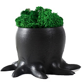 Кашпо бетонное Осминог со мхом, высота 7 см, d-6,5 см, черный, 10374753 Кашпо бетонное Осминог со мхом, высота 7 см, d-6,5 см, черный, 10374753
