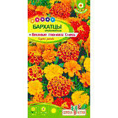  Бархатцы Веселые гномики махровые СА 