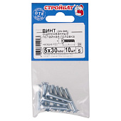 Винт оцинк.пот. DIN 965 М 5х30 (10шт) Винт оцинк.пот. DIN 965 М 5х30 (10шт)