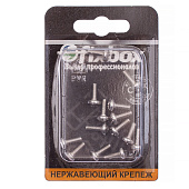 Винт нерж.пкр. DIN 7985 М4x10 ( 14 шт)