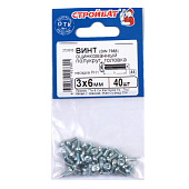  Винт пкр. DIN 7985 М3x 6 (40 шт) 