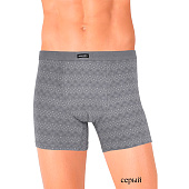 Трусы-шорты мужские арт. 8724, р. (L) Трусы-шорты мужские арт. 8724, р. (L)