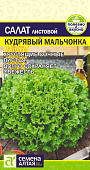 Зелень Салат Кудрявый Мальчонка СА Зелень Салат Кудрявый Мальчонка СА