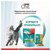  Влажный корм для кошек ONE домашних Курица с Морковью 75г 