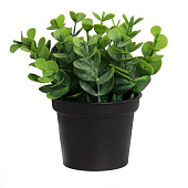 Искусственный цветок в горшке Ива бойда мини, 11х7 см, зелёный, 10697873 Искусственный цветок в горшке Ива бойда мини, 11х7 см, зелёный, 10697873