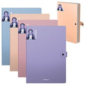 Папка на кнопке 4 отделения ErichKrause Matt Manga, А4, 600 мкм, пластик, ассорти, 61209 Папка на кнопке 4 отделения ErichKrause Matt Manga, А4, 600 мкм, пластик, ассорти, 61209