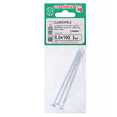  Саморезы универсальные оцинкованные ШУц 5,0х100мм, потайная голова, 3шт 