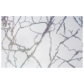 Плейсматы с рисунком Dekorelle 201-SW 41x26х0,6мм PM201-SW/41x26/0,6 Плейсматы с рисунком Dekorelle 201-SW 41x26х0,6мм PM201-SW/41x26/0,6