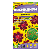  Цветы Космидиум Брюнет СА 