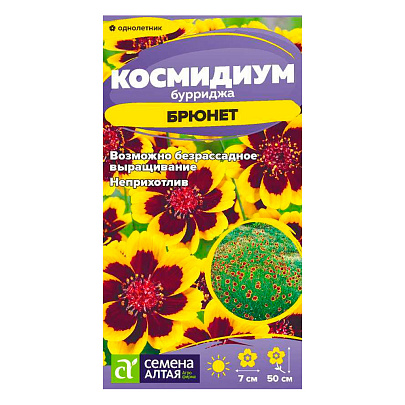  Цветы Космидиум Брюнет СА 