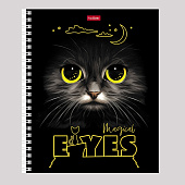 Тетрадь 48л. А5, гребень, клетка, скругленные углы, Волшебные глаза, 48Т5лолВ1гр Тетрадь 48л. А5, гребень, клетка, скругленные углы, Волшебные глаза, 48Т5лолВ1гр