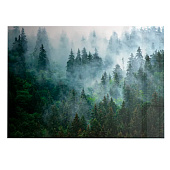 Картина стекло Туманный лес №2 50х70 Картина стекло Туманный лес №2 50х70